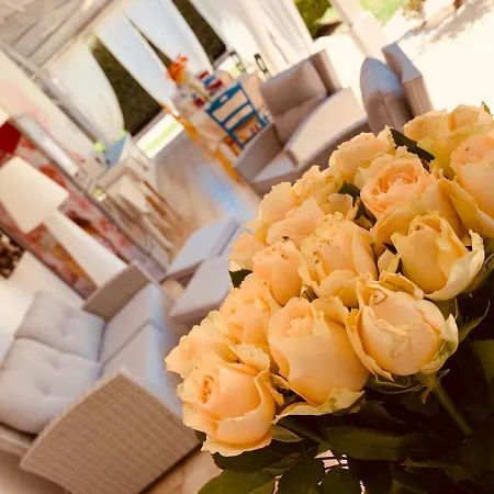 A Casa Di Joy فندق مبيت وإفطار 2*