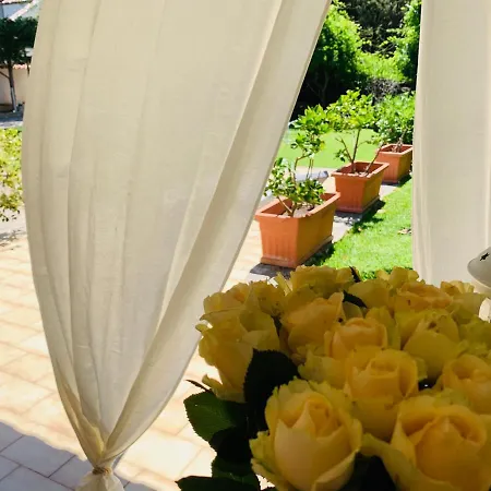 A Casa Di Joy ليتشي