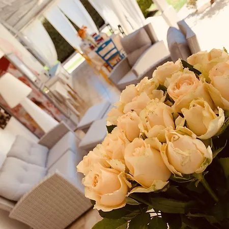 A Casa Di Joy Bed & Breakfast